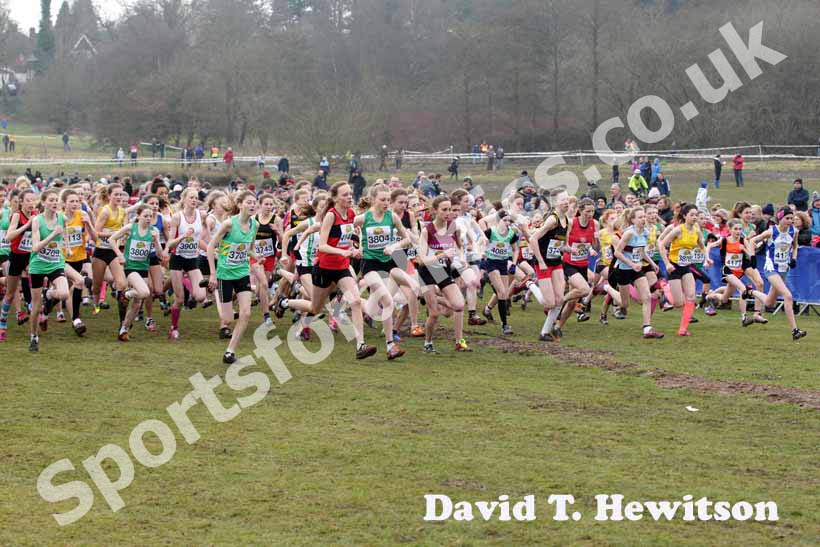 Start of the under-15 girls McCain World Cross Country Trials and Inter Counties.